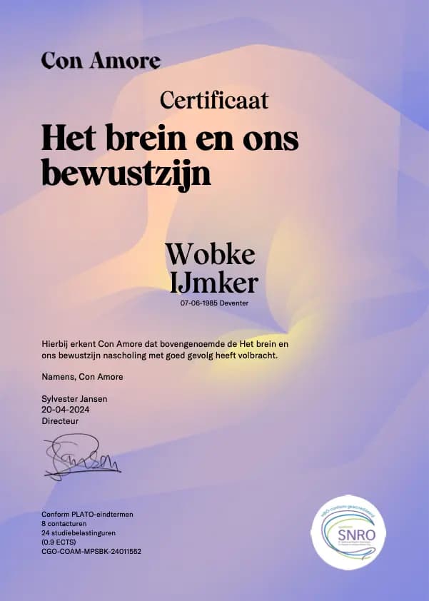 Het Brein en Ons Bewustzijn